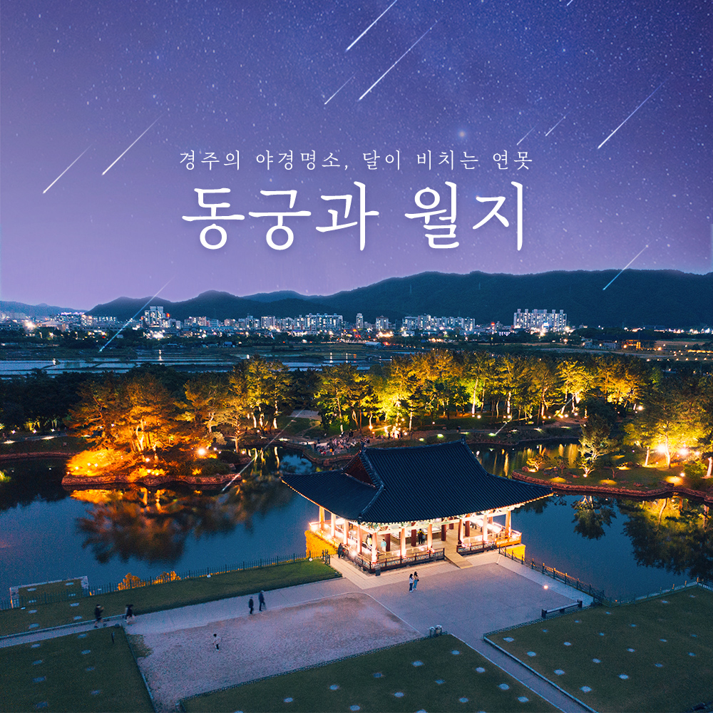 경북투어패스 단독권
